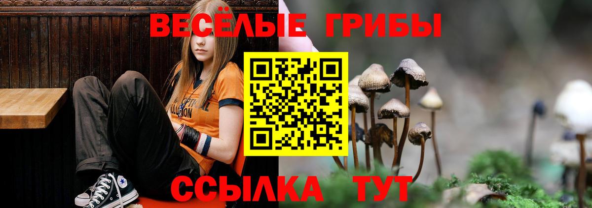 где купить наркоту  Вход с VPN  Симферополь  Галлюциногенные грибы Cubensis 